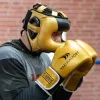 Рукавички боксерські Yakimasport TIGER GOLD V розмір 10 унцій, золотисті Рукавички боксерські Yakimasport TIGER GOLD V розмір 10 унцій, золотисті