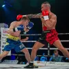 Рукавички боксерські Yakimasport WOLF L розмір 10 унцій, червоні Рукавички боксерські Yakimasport WOLF L розмір 10 унцій, червоні