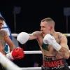 Рукавички боксерські Yakimasport WOLF L розмір 10 унцій, білі Рукавички боксерські Yakimasport WOLF L розмір 10 унцій, білі