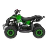 Дитячий акумуляторний квадроцикл RENEGADE HIPERFECT 49CC Зелений Дитячий акумуляторний квадроцикл RENEGADE HIPERFECT 49CC Зелений