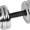 Гантелі розбірні у кейсі Rebel Active 30 кг Гантелі розбірні у кейсі Rebel Active 30 кг
