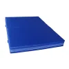 Мат гімнастичний MASTER T21 200 х 150 x 20 см, синій