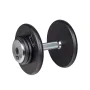 Гантель inSPORTline ProfiST 15кг
