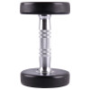 Гантель сталева inSPORTline Profi, 2 кг