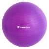 М'яч гімнастичний inSPORTline Top Ball 55 см - фіолетовий