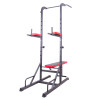 Поручень багатофункціональний для підтягування inSPORTline Power Tower X150