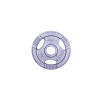 Диск чавунний inSPORTline Hamerton 2,5 кг