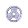 Диск чавунний inSPORTline Hamerton 10 кг