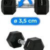 Гантель шестигранна THUNDER 10 кг