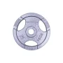 Диск чавунний inSPORTline Hamerton 10 кг