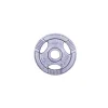 Диск чавунний inSPORTline Hamerton 2,5 кг
