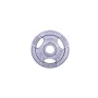 Диск чавунний inSPORTline Hamerton 2,5 кг