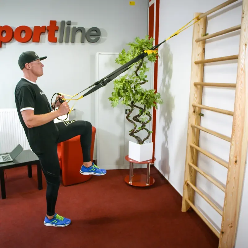 Шведська стіна inSPORTline Steadyline 215 х 80 см Шведська стіна inSPORTline Steadyline 215 х 80 см