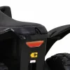 Дитячий акумуляторний квадроцикл Honda 250X TRX Чорний Дитячий акумуляторний квадроцикл Honda 250X TRX Чорний