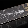Самокат трюковий SOKE EVO чорно-золотистий Самокат трюковий SOKE EVO чорно-золотистий