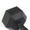 Гантель прогумована Zipro HEX 1 х 15 кг