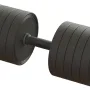 Гантель профессиональная 54 кг TC126-54PL