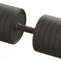 Гантель профессиональная 58 кг TC126-58PL