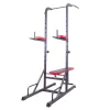 Поручень багатофункціональний для підтягування inSPORTline Power Tower X150
