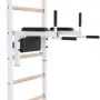 Драбина гімнастична BenchK 232W