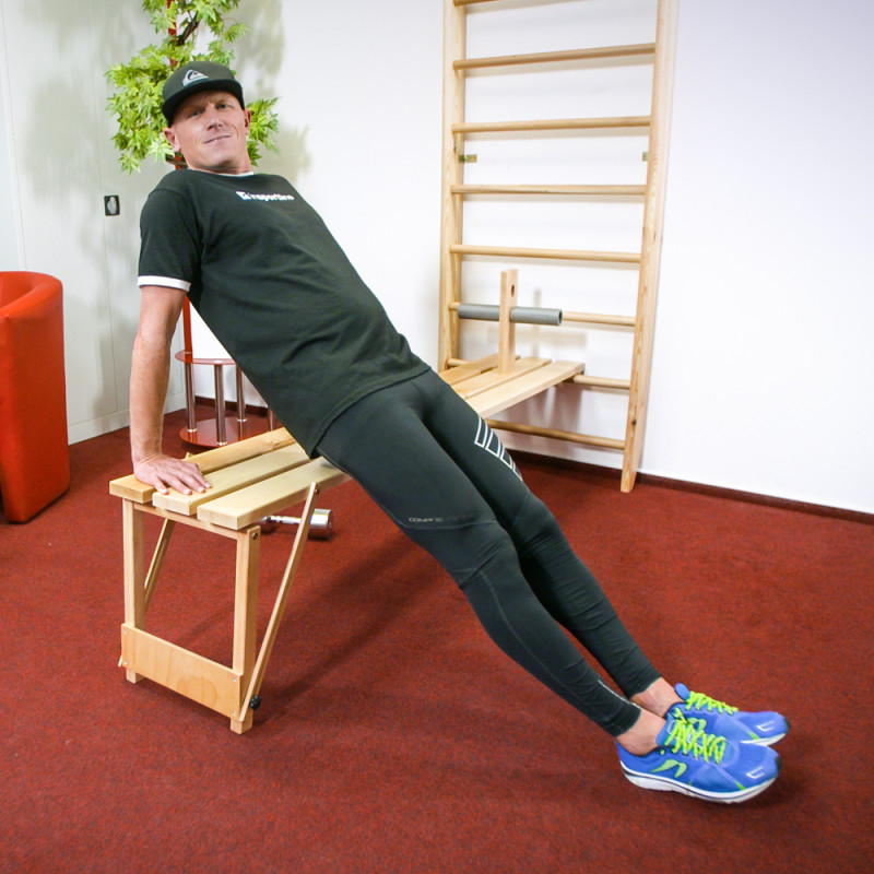 Шведська стінка inSPORTline Dremar 230 x 90см